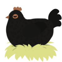 Yellowbilled cacique, a sable and black chicken with a speckle pattern