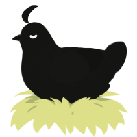 A black chicken with a half-lace pattern