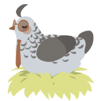 A mist and grey chicken with a half-lace pattern