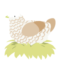 Matcha Chai Latte, a white and beige chicken with a lace pattern