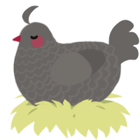 A grey chicken with a lace pattern