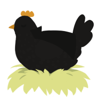 Orphan, a sable chicken with a speckle pattern