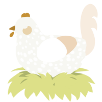 A white and cream chicken with a speckle pattern