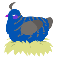 A ultramarine and grey chicken with a half-bar pattern