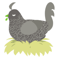 A grey and ash chicken with a double-lace pattern