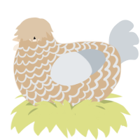 white chocolate, a beige and mist chicken with a lace pattern