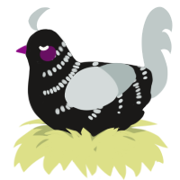 A sable and silver chicken with a half-bar pattern