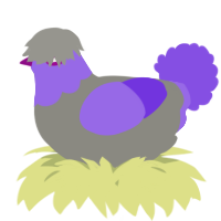 A ash and blurple chicken with a head pattern