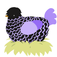 A sable and lilac chicken with a lace pattern