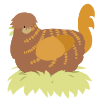 A brown and orange chicken with a half-bar pattern