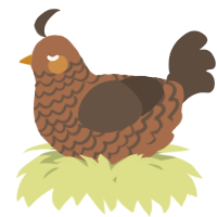 A brown and bark chicken with a lace pattern