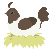 A white and bark chicken with a head pattern