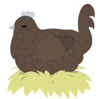 A bark chicken with a speckle pattern