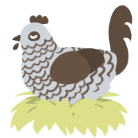 A mist and bark chicken with a lace pattern