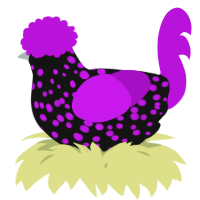 A black and amethyst chicken with a speckle pattern