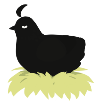 A black chicken with a neck-speckle pattern