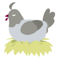 A mist and ash chicken with a head pattern