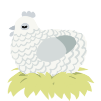 A white and silver chicken with a lace pattern