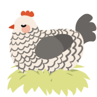 A cream and grey chicken with a lace pattern