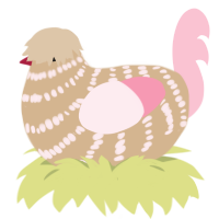 A beige and rose chicken with a bar pattern