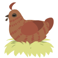 A brown and russet chicken with a bar pattern