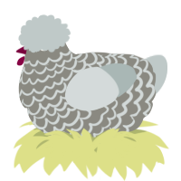 A ash and silver chicken with a lace pattern