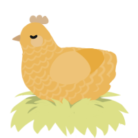 (unnamed), a honey chicken with a lace pattern