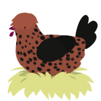 Sesame Macaron, a russet and black chicken with a speckle pattern