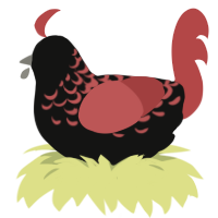 King Arthur, a black and red chicken with a half-lace pattern