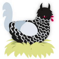A sable and mist chicken with a lace pattern