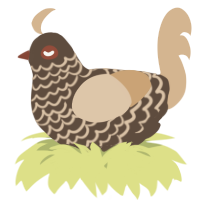 A bark and beige chicken with a lace pattern