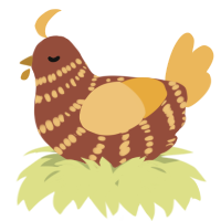 A russet and honey chicken with a bar pattern