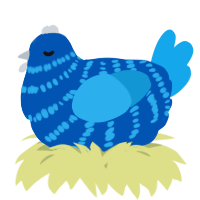 A ultramarine and sky chicken with a bar pattern