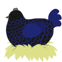 ITS OVER 9000, a sable and navy chicken with a lace pattern