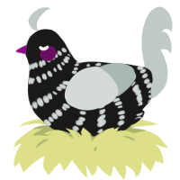 A sable and silver chicken with a bar pattern
