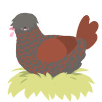 (unnamed), a grey and russet chicken with a lace pattern