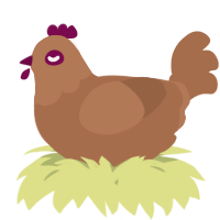 A brown chicken with a head pattern