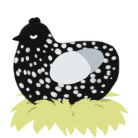 A black and mist chicken with a speckle pattern