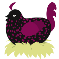 A black and wine chicken with a speckle pattern