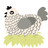 A cream and ash chicken with a lace pattern