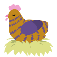 A ochre and overcast chicken with a bar pattern