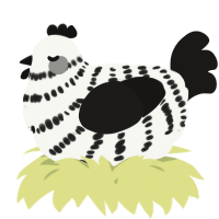 A white and sable chicken with a bar pattern