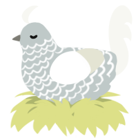 A silver and white chicken with a lace pattern