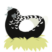 A black and white chicken with a half-lace pattern