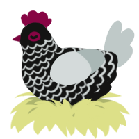 A black and silver chicken with a lace pattern