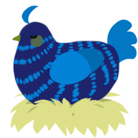 A navy and sapphire chicken with a bar pattern