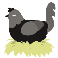 A sable and grey chicken with a head pattern