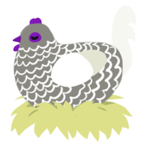 Demisexual, a ash and white chicken with a lace pattern
