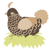 A bark and beige chicken with a lace pattern