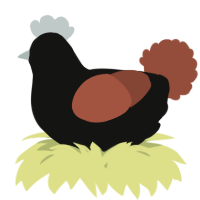 A black and russet chicken
